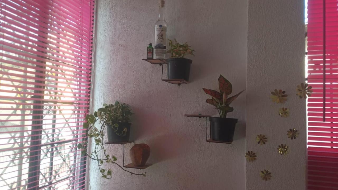 Cat Family Lodging Apartment Cartagena Екстериор снимка