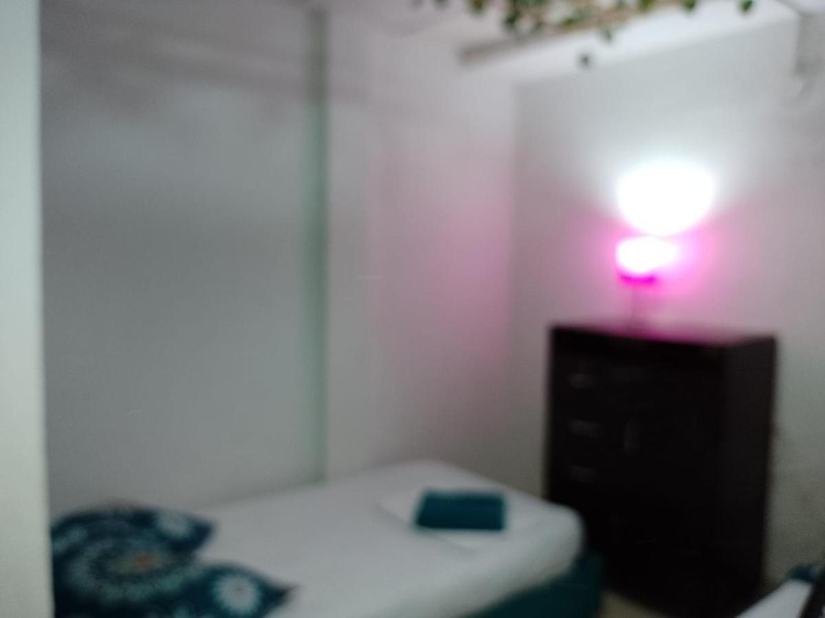 Cat Family Lodging Apartment Cartagena Екстериор снимка
